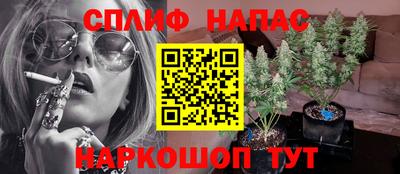 скорость Заволжье