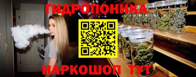 mdpv Заводоуковск