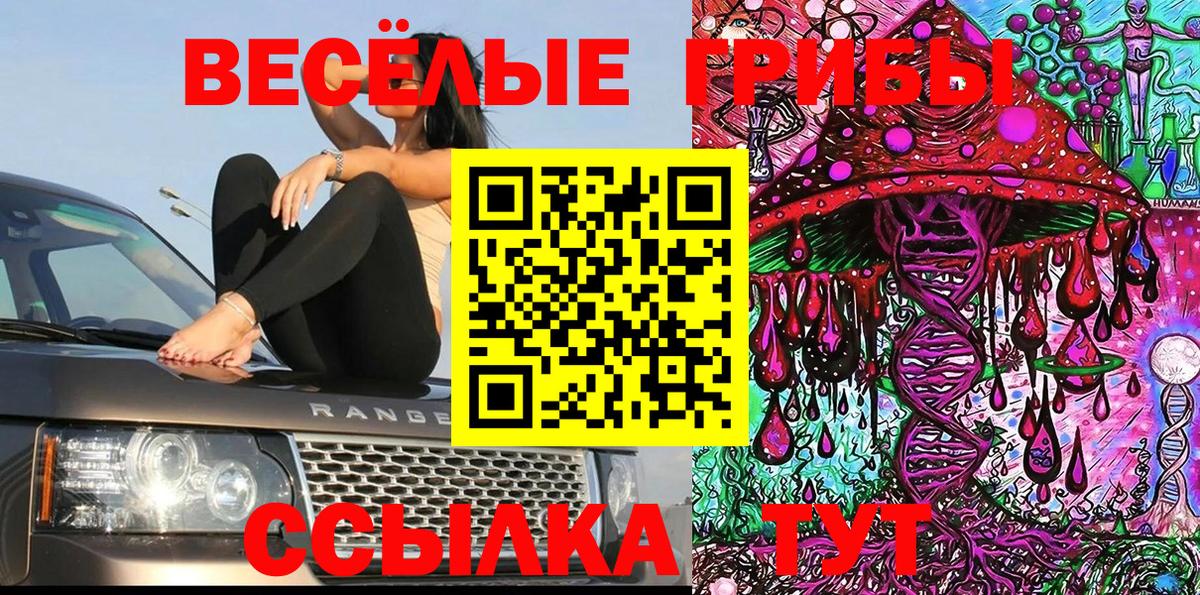 Псилоцибиновые грибы мухоморы Донецк