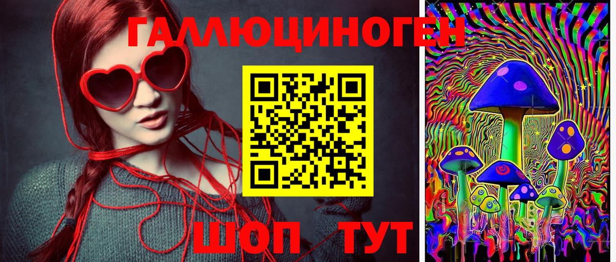 Донецк  Галлюциногенные грибы Cubensis  Вход с VPN 